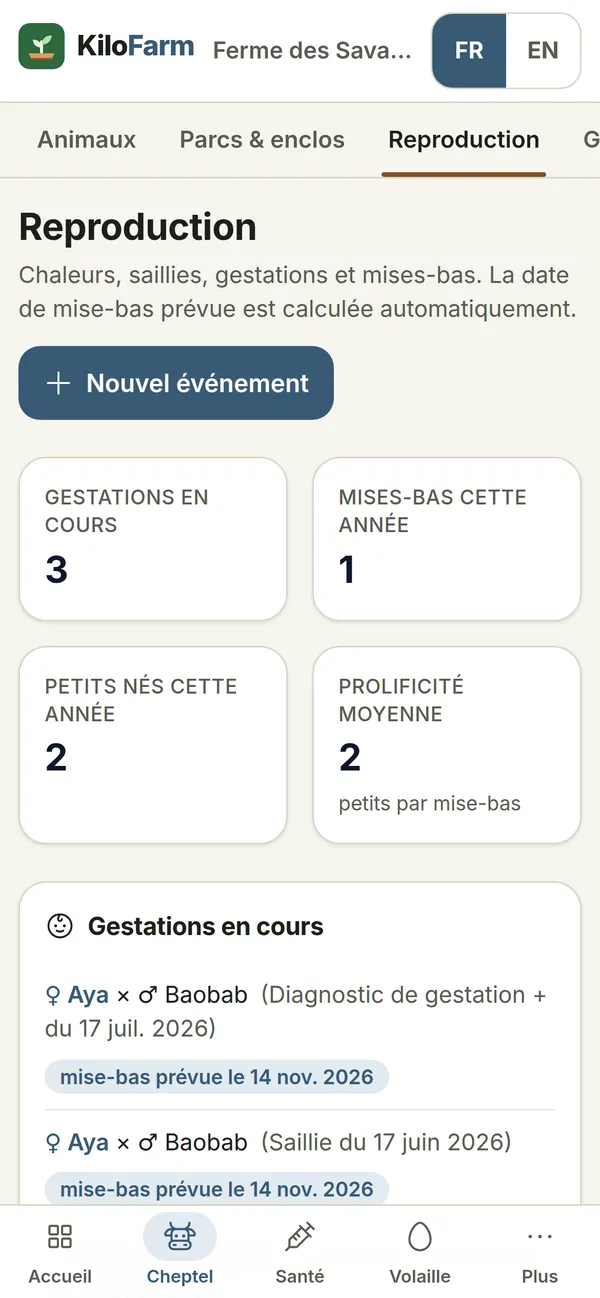 Capture de KiloFarm sur téléphone : Cheptel