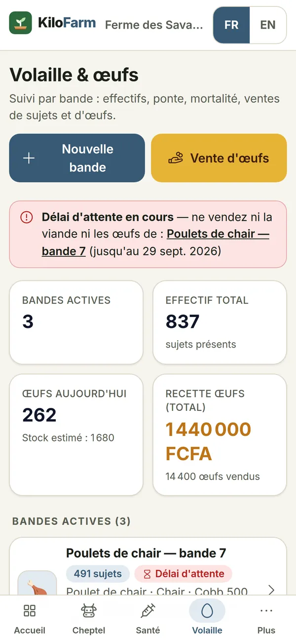Capture de KiloFarm sur téléphone : Volaille